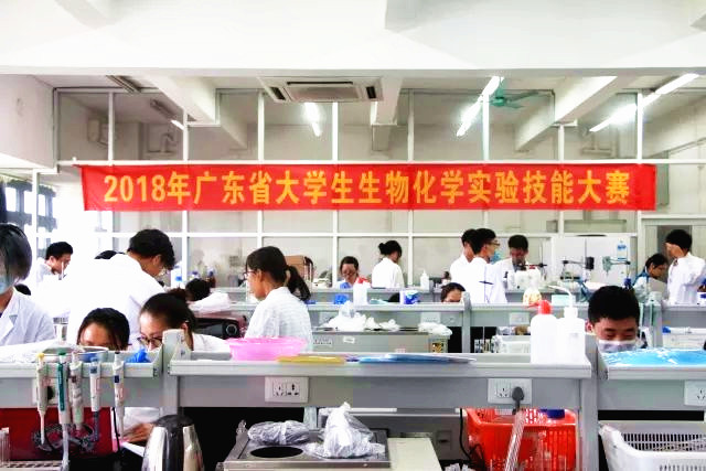 伟德victor1946员工荣获广东省生物化学实验技能大赛二等奖02.jpg